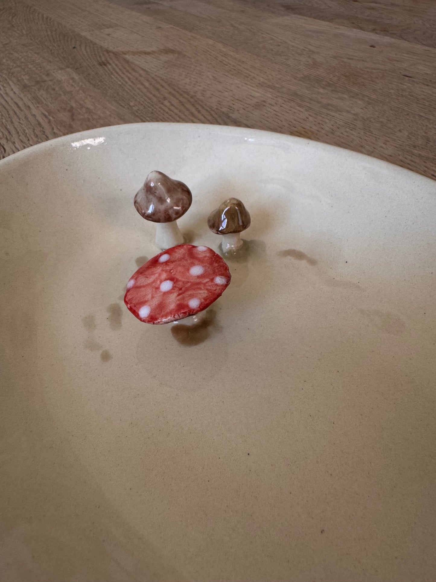 Schaal met paddestoelen ovaal