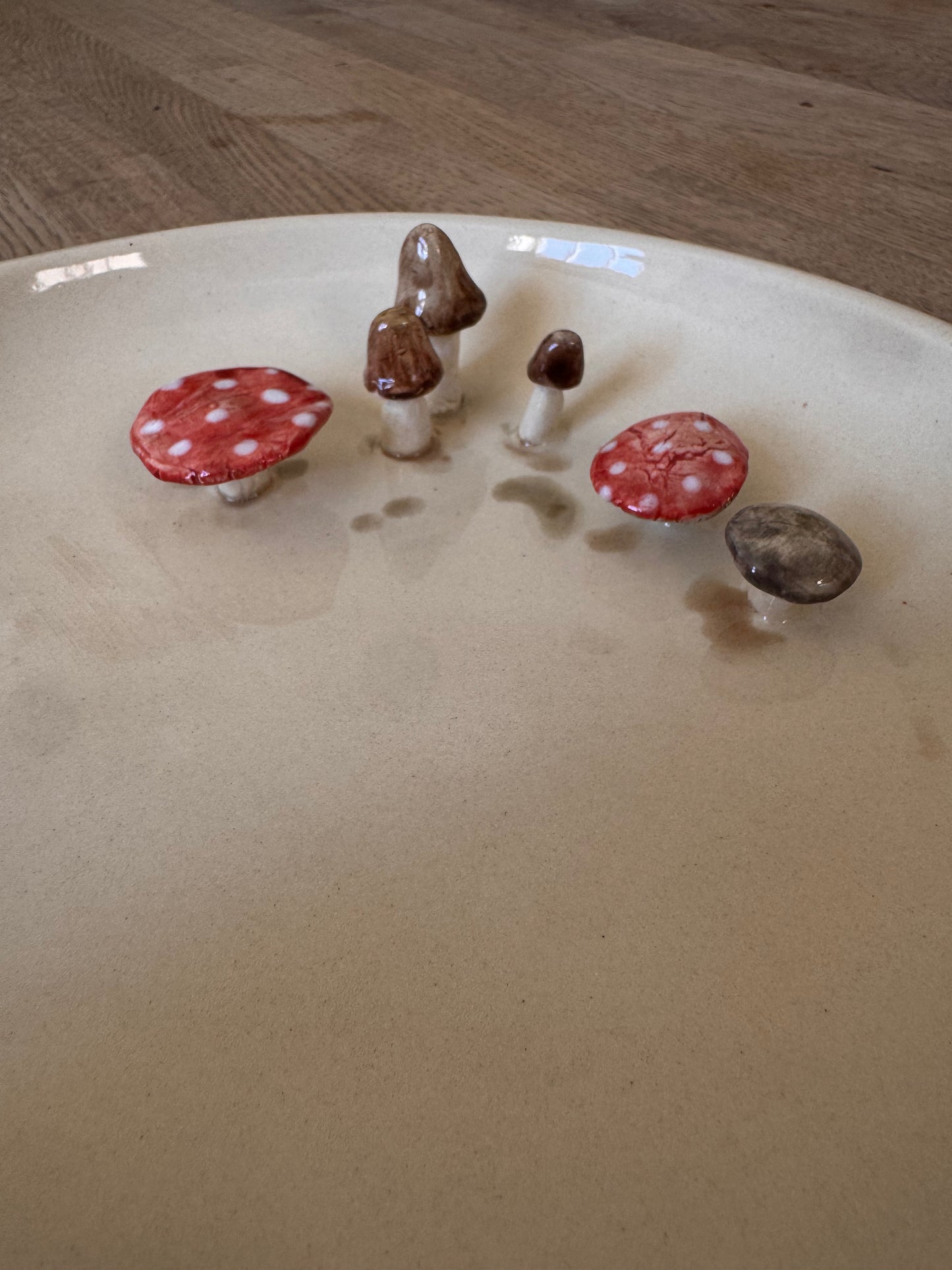 Schaal met paddestoelen