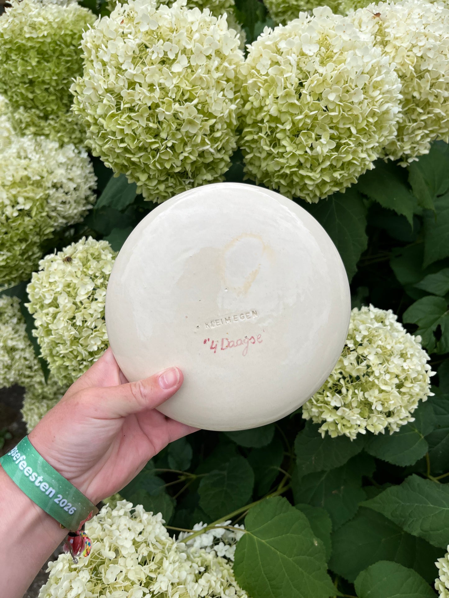 Vierdaagse bordje met gladiool 047