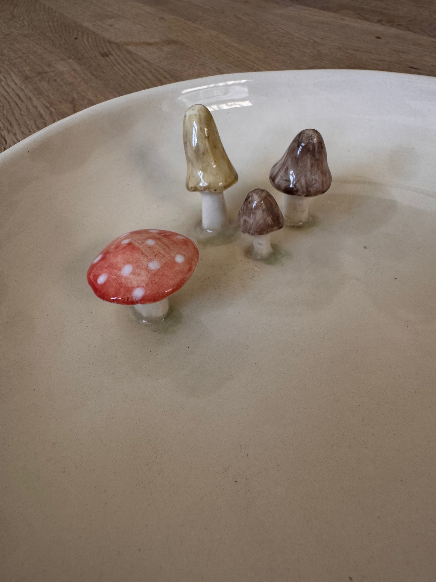 Schaal met paddestoelen