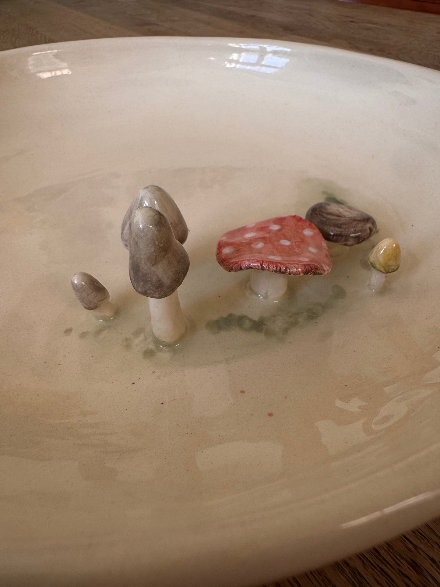 Schaal met paddestoelen groot
