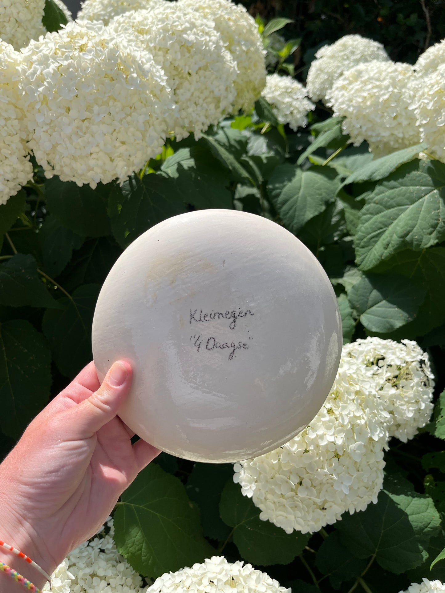 Vierdaagse bordje met gladiool 006
