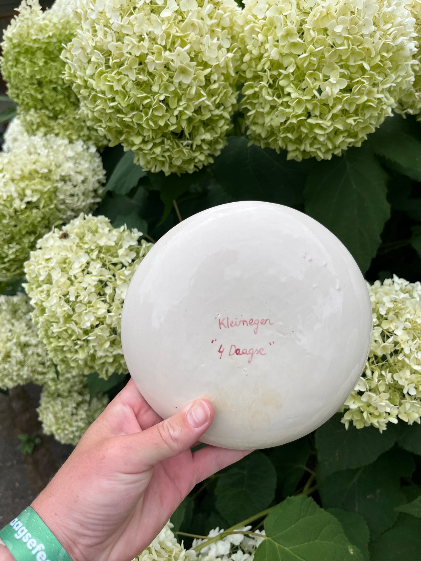 Vierdaagse bordje met gladiool 037