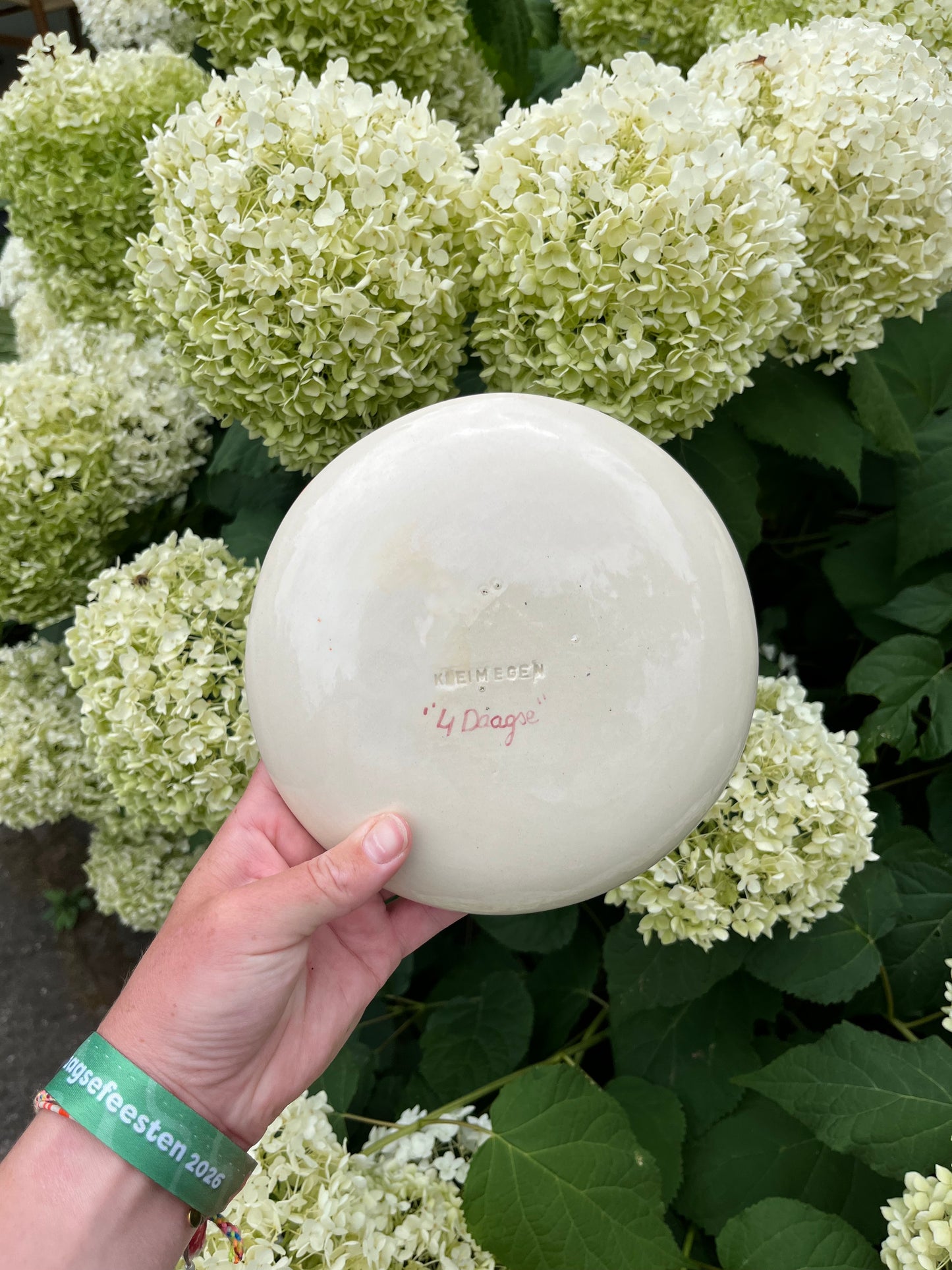 Vierdaagse bordje met gladiool 041