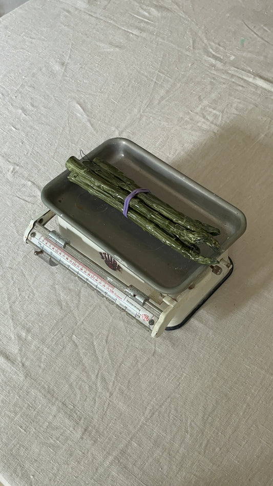 Asperges van keramiek