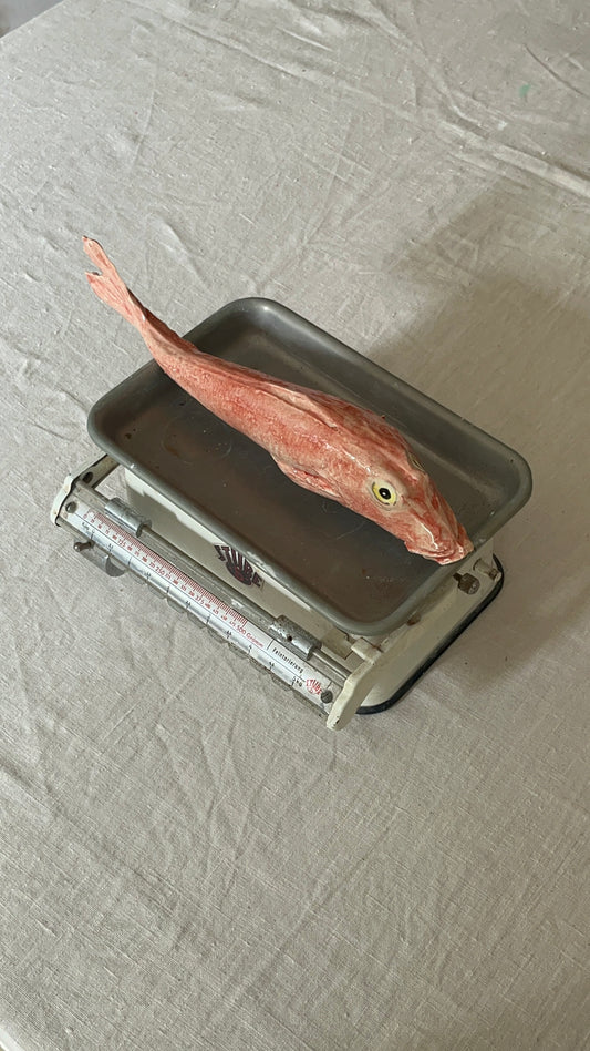 Vis rode poon van keramiek